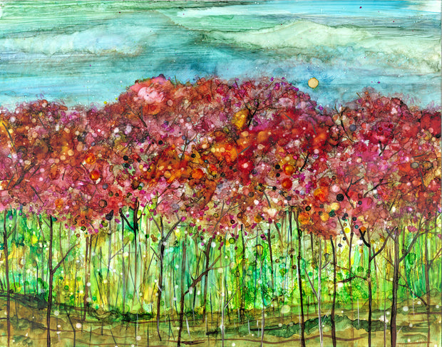 Spring Forest : Greeting Card
