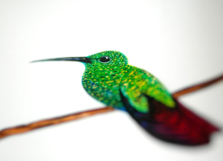 How to Paint a Hummingbird in 12 Steps