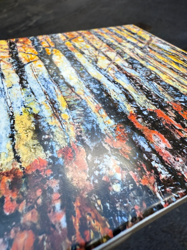 Encaustic Forest Ceramic Tile - Indoor and Outdoor Tiles