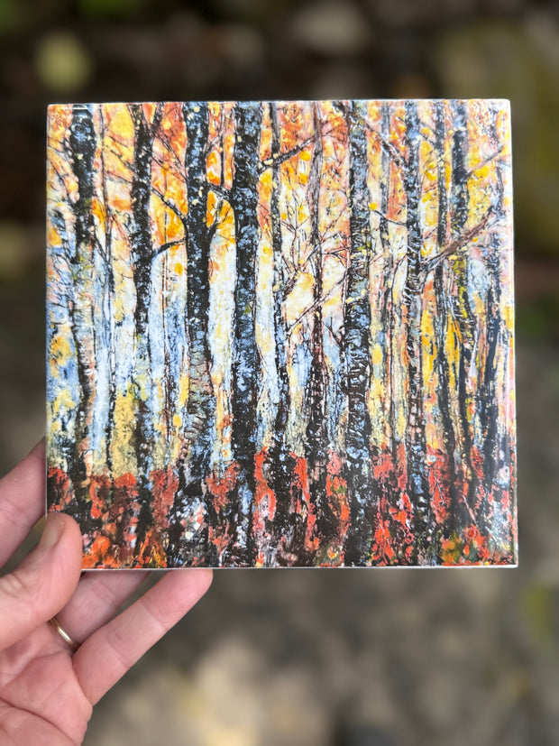 Encaustic Forest Ceramic Tile - Indoor and Outdoor Tiles