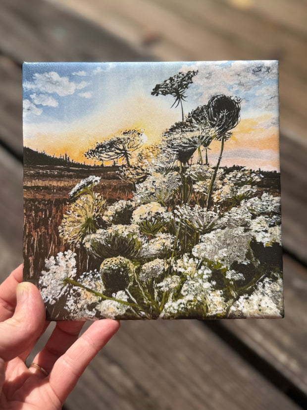 September Glow: Queen Anne's Lace - Indoor and Outdoor Tiles