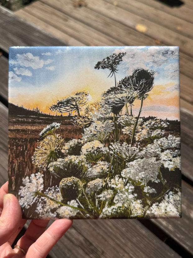 September Glow: Queen Anne's Lace - Indoor and Outdoor Tiles