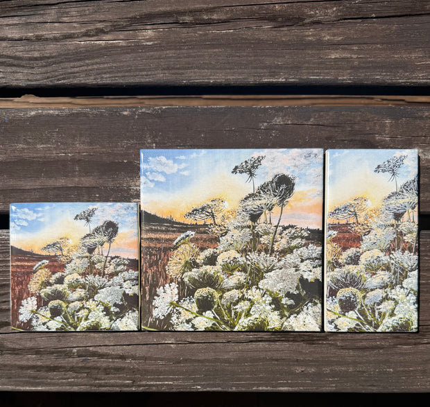 September Glow: Queen Anne's Lace - Indoor and Outdoor Tiles