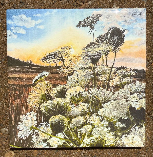 September Glow: Queen Anne's Lace - Indoor and Outdoor Tiles