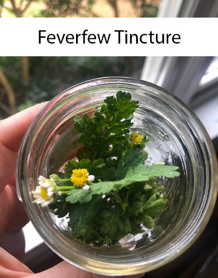 Feverfew Tincture