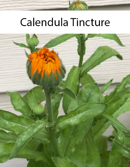 Calendula Tincture