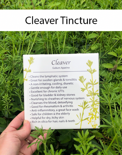 Cleaver Tincture