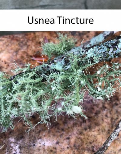 Usnea Tincture