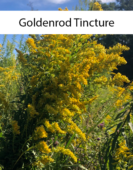 Goldenrod Tincture