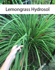 Lemongrass Hydrosol