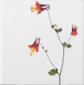 You Pick The Designs - Garden Botanical Ceramic Tiles - 6 x 6 inches - Indoor and Outdoor Use