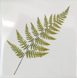 You Pick The Designs - Garden Botanical Ceramic Tiles - 6 x 6 inches - Indoor and Outdoor Use