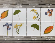 You Pick The Design - Garden Botanical Ceramic Tiles - 4.25" x 4.25" inches - Indoor and Outdoor Use, Kitchen Backsplash