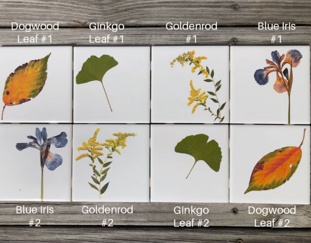 You Pick The Design - Garden Botanical Ceramic Tiles - 4.25" x 4.25" inches - Indoor and Outdoor Use, Kitchen Backsplash