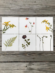 You Pick The Design - Garden Botanical Ceramic Tiles - 4.25" x 4.25" inches - Indoor and Outdoor Use, Kitchen Backsplash