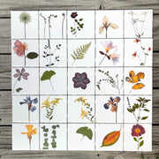 You Pick The Design - Garden Botanical Ceramic Tiles - 4.25" x 4.25" inches - Indoor and Outdoor Use, Kitchen Backsplash