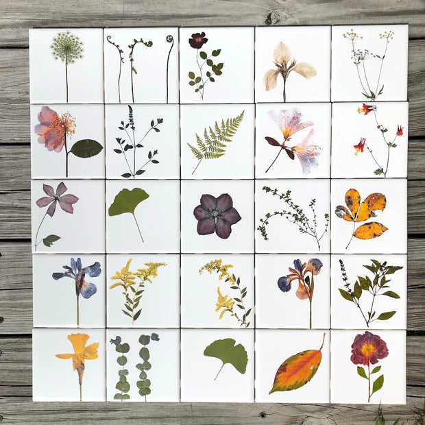 You Pick The Design - Garden Botanical Ceramic Tiles - 4.25" x 4.25" inches - Indoor and Outdoor Use, Kitchen Backsplash