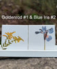 You Pick The Design - Garden Botanical Ceramic Tiles - 4.25" x 4.25" inches - Indoor and Outdoor Use, Kitchen Backsplash