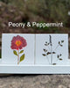 You Pick The Design - Garden Botanical Ceramic Tiles - 4.25" x 4.25" inches - Indoor and Outdoor Use, Kitchen Backsplash