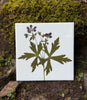 You Pick The Design - Garden Botanical Ceramic Tiles - 4.25" x 4.25" inches - Indoor and Outdoor Use, Kitchen Backsplash