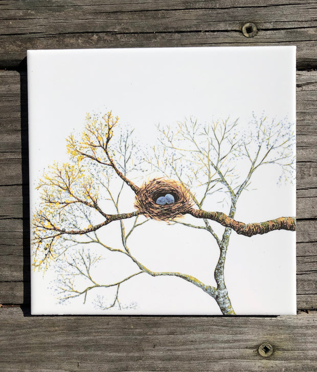 Bird Nest Ceramic Tile : Indoor and Outdoor Use, Decorative Tiles