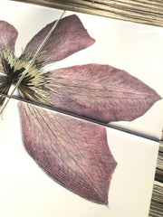 Purple Clematis Flower Tile Mural: Ceramic Art, Set of 4