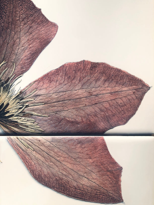 Purple Clematis Flower Tile Mural: Ceramic Art, Set of 4