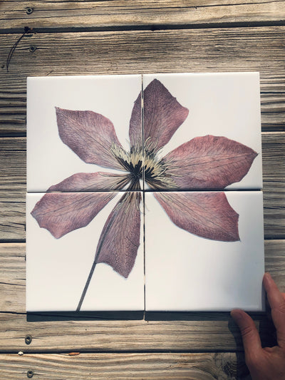 Purple Clematis Flower Tile Mural: Ceramic Art, Set of 4