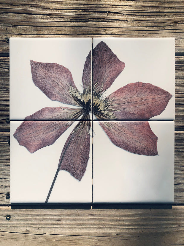 Purple Clematis Flower Tile Mural: Ceramic Art, Set of 4