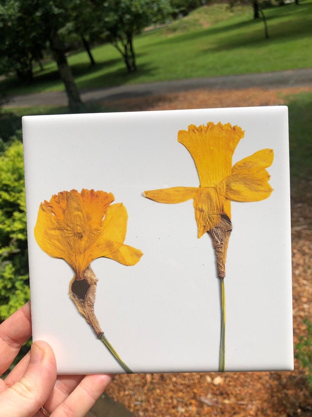 Set of 4 Botanical Ceramic Tiles