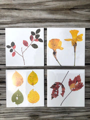 Set of 4 Botanical Ceramic Tiles