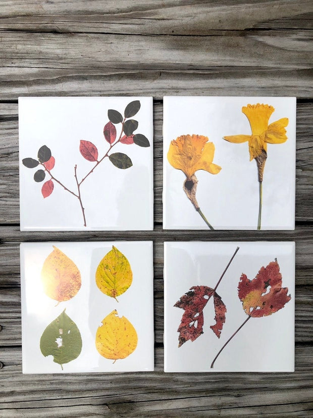 Set of 4 Botanical Ceramic Tiles