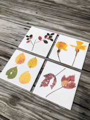 Set of 4 Botanical Ceramic Tiles