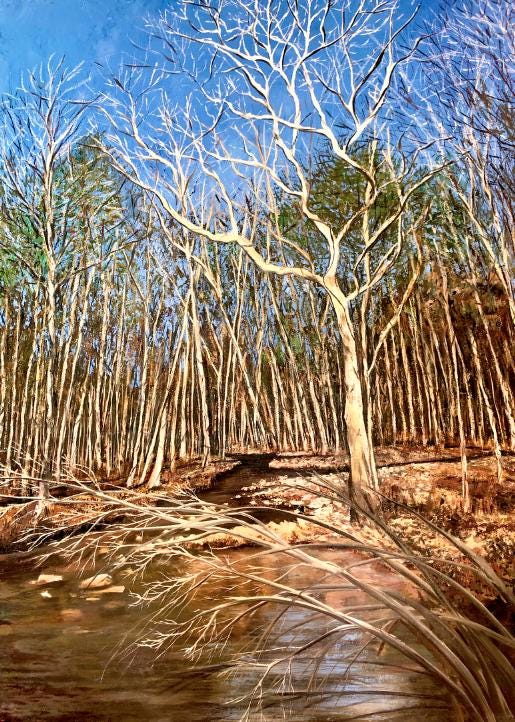 Duke Forest : Fine Art Print