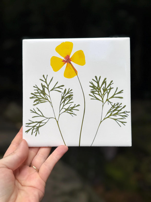 California Poppy Ceramic Tiles