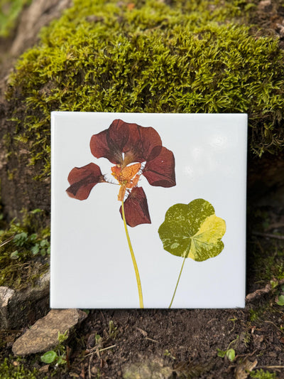 Red Nasturtium Ceramic Tiles