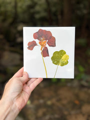 Red Nasturtium Ceramic Tiles
