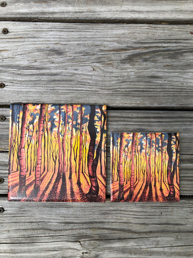 Birch Trees in the Fall Ceramic Tiles - Indoor and Outdoor Use