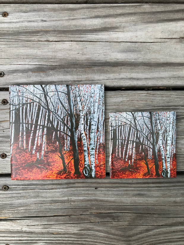 Aspen Trees Ceramic Tiles - Indoor and Outdoor Use