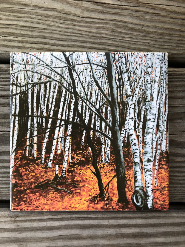 Aspen Trees Ceramic Tiles - Indoor and Outdoor Use