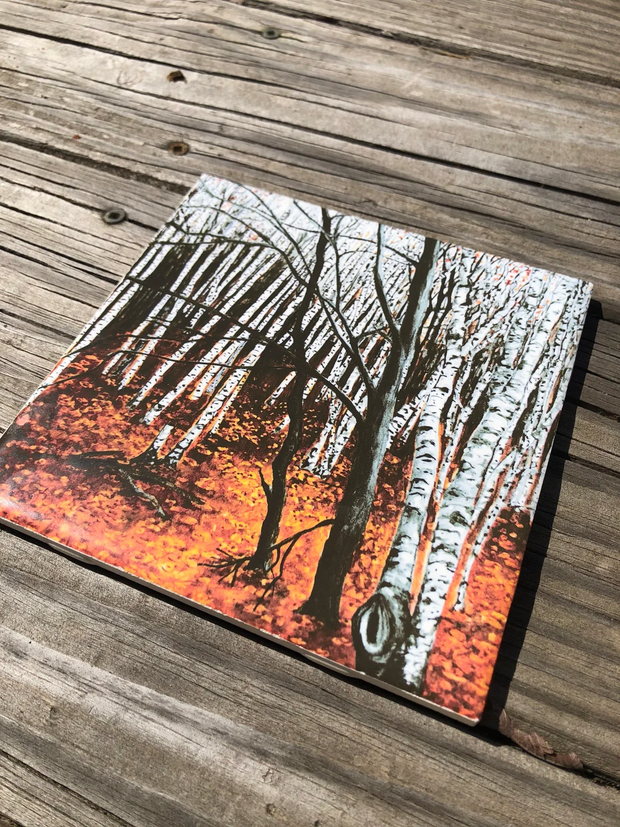 Aspen Trees Ceramic Tiles - Indoor and Outdoor Use