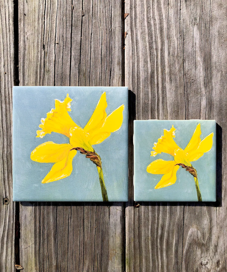 Spring Daffodil Ceramic Tiles - Indoor and Outdoor Use