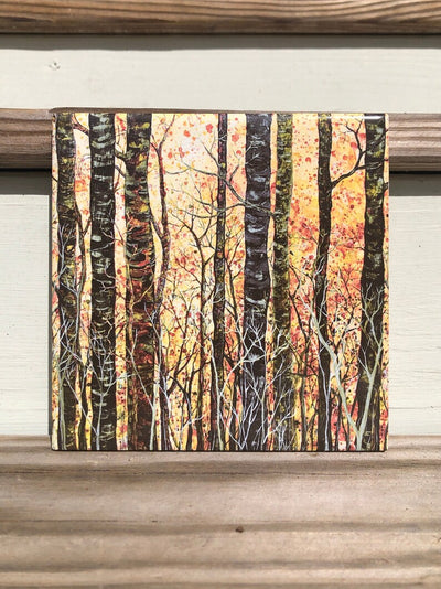 Dream Forest Glow Ceramic Tiles - Indoor and Outdoor Use
