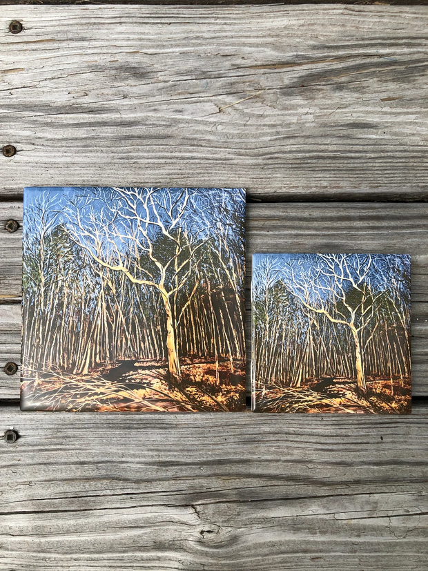 Durham Forest Ceramic Tiles - Indoor and Outdoor Use