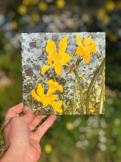 Yellow Daffodils Ceramic Tiles - Indoor and Outdoor Use