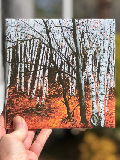 Aspen Trees Ceramic Tiles - Indoor and Outdoor Use