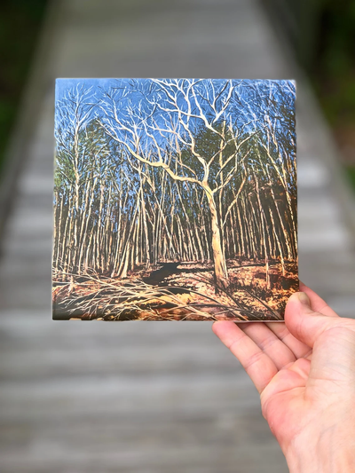 Durham Forest Ceramic Tiles - Indoor and Outdoor Use