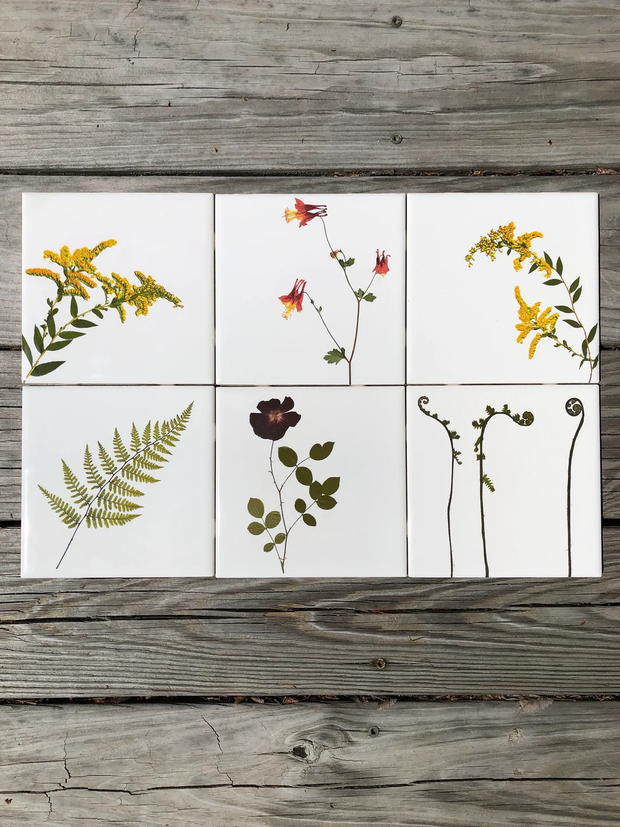 You Pick The Designs - Garden Botanical Ceramic Tiles - 6 x 6 inches - Indoor and Outdoor Use
