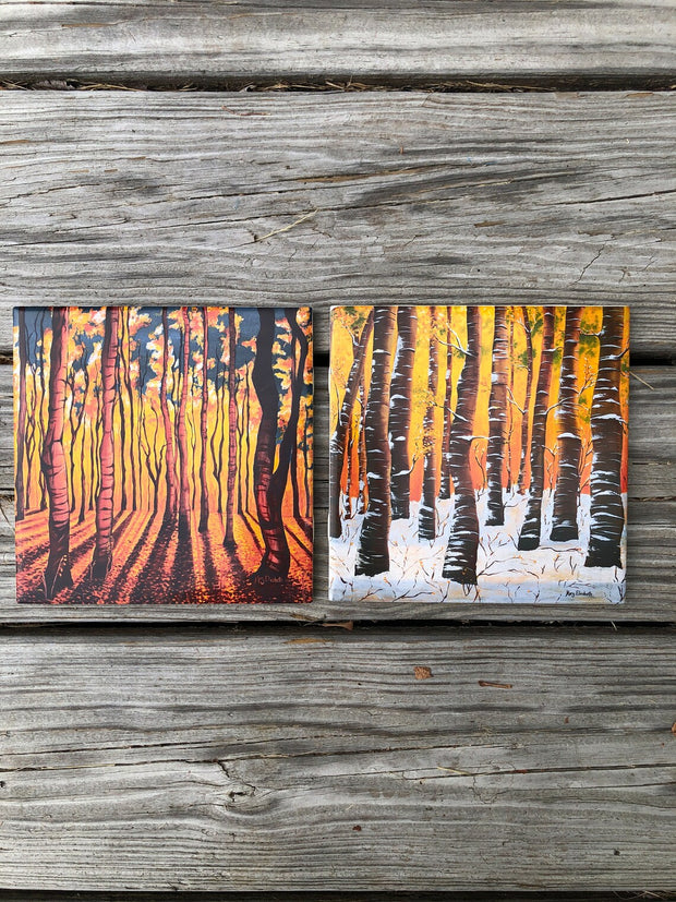 Birch Trees in the Fall Ceramic Tiles - Indoor and Outdoor Use