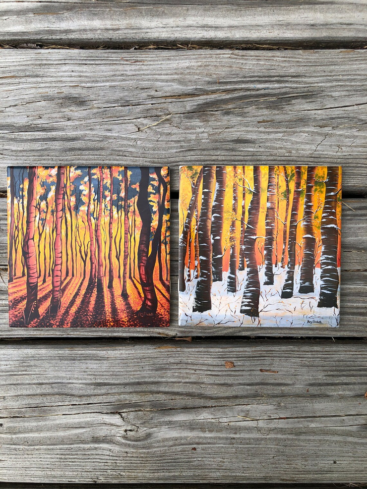 Birch Trees in the Fall Ceramic Tiles - Indoor and Outdoor Use